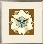 Floral Mandala On Caramel Iii by Erica J. Vess Limited Edition Pricing Art Print