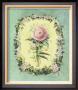 Alegorias Florales Ii by E. Francesa Limited Edition Print