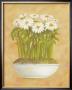 White Daisies by Cuca Garcia Limited Edition Print
