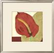 Anthurium Elegance Ii by Jennifer Goldberger Limited Edition Pricing Art Print