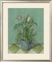 Potted Floral I by Bell Limited Edition Print
