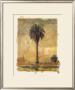 Palm Study I by Donald Farnsworth Limited Edition Print