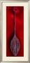 Silver Solo by Marilyn Robertson Limited Edition Pricing Art Print