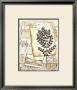 Tree Leaves Ii by Richard Henson Limited Edition Print