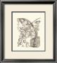 Black And White Curtis Orchid Viii by Samuel Curtis Limited Edition Print