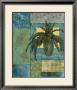 Aqua Blue Fern Collage by T. C. Chiu Limited Edition Print