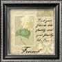 Damask Hydrangea: Family by Marilu Windvand Limited Edition Print