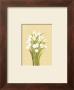 Tulipanes by Luisa Romero Limited Edition Pricing Art Print