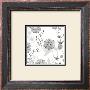 White Lace Floral by Kate Knight Limited Edition Print