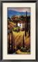 Hills Of Tuscany by Nancy O'toole Limited Edition Print