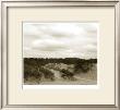 Ocracoke Dune Study Ii by Jason Johnson Limited Edition Print