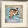 Restful Shell by Todd Williams Limited Edition Print