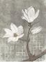 Tokyo City Petals by Morgan Yamada Limited Edition Pricing Art Print