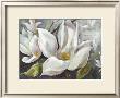 Tender Magnolias I by Anna Field Limited Edition Pricing Art Print