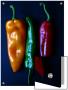 Peppers, Yellow, Green And Red, Side By Side by I.W. Limited Edition Print