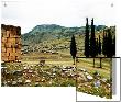 Stone Ruins And Stand Of Trees In Barren Landscape With Mountains, Pamukkale, Turkey by I.W. Limited Edition Print