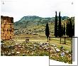 Stone Ruins And Stand Of Trees In Barren Landscape With Mountains, Pamukkale, Turkey by I.W. Limited Edition Pricing Art Print