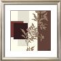 Ornamentic In Brown Ii by Hanna Vedder Limited Edition Print