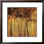 Sunset Palms I by Amori Limited Edition Print