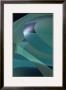 Aqua Ice by Menaul Limited Edition Print