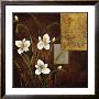 Orchid Melody I by Teo Vineli Limited Edition Print