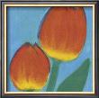 Fab Tulips by Susie Perring Limited Edition Print