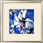White Flower Ii by Mary Mclorn Valle Limited Edition Pricing Art Print