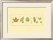 Leaves And Seeds Ii by Nancy Shumaker Pallan Limited Edition Print