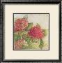 Hortensia Ii by Vincent Jeannerot Limited Edition Print