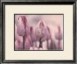 Les Tulipes I by Katja Marzahn Limited Edition Pricing Art Print