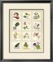 Kent Garden Fragments by Hewitt Limited Edition Print