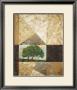 Oak Perspective by Trevor Copenhaver Limited Edition Print