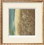 Antique Ivory Iv by Chariklia Zarris Limited Edition Print