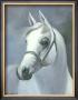 Palomino by Hussein Al Shikaki Limited Edition Print