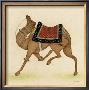 Camel From India I by Ram Babu Limited Edition Print