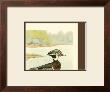 Woodduck Male by Ridgway Limited Edition Print