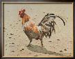 Banty Rooster by Lavere Hutchings Limited Edition Pricing Art Print