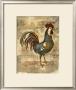 Tuscany Rooster Iii by Deborah Bookman Limited Edition Pricing Art Print