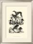 International Show Dogs Ii, C.1863 by Harrison Weir Limited Edition Print