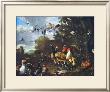 Bird Concert by Melchior De Hondecoeter Limited Edition Print