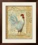 Provence Rooster by Grace Pullen Limited Edition Print
