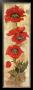 Strand Of Poppies Ii by Elizabeth Jardine Limited Edition Print