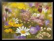 Potpourri Of Flowers I by Fasani Limited Edition Print