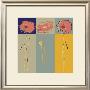 Poppy Variation by Rod Neer Limited Edition Print