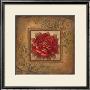Sacred Rose Ii by Elaine Vollherbst-Lane Limited Edition Print