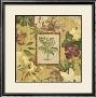 Fabric Palm Ii by Albert Arthur Allen Limited Edition Print