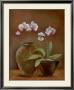 Orchid Antiquity Ii by Jane Tava Limited Edition Pricing Art Print