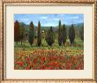 Poppies by Paul Curtis Limited Edition Pricing Art Print