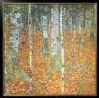 Birch Forest, C.1903 by Gustav Klimt Limited Edition Print