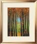 Colors Of Fall Ii by Mark Pulliam Limited Edition Print